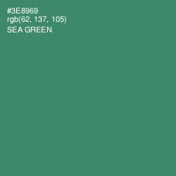 #3E8969 - Sea Green Color Image