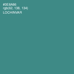 #3E8A86 - Lochinvar Color Image