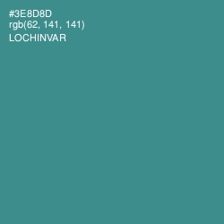 #3E8D8D - Lochinvar Color Image