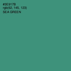 #3E917B - Sea Green Color Image