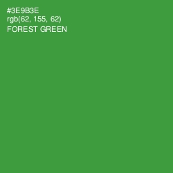 #3E9B3E - Forest Green Color Image