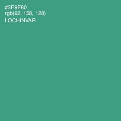 #3E9E80 - Lochinvar Color Image