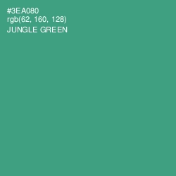 #3EA080 - Jungle Green Color Image