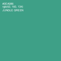 #3EA086 - Jungle Green Color Image