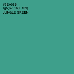 #3EA08B - Jungle Green Color Image