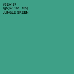 #3EA187 - Jungle Green Color Image