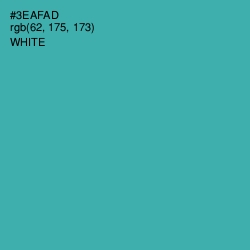 #3EAFAD - Pelorous Color Image