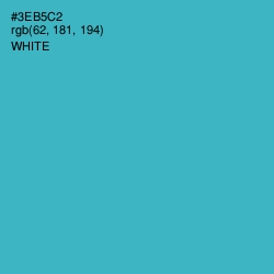 #3EB5C2 - Scooter Color Image