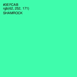 #3EFCAB - Shamrock Color Image