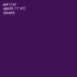#3F1157 - Grape Color Image