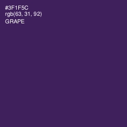 #3F1F5C - Grape Color Image