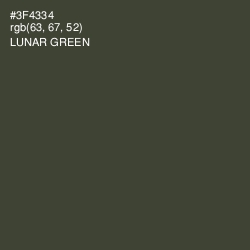 #3F4334 - Lunar Green Color Image