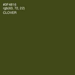 #3F4816 - Clover Color Image