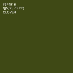 #3F4916 - Clover Color Image