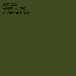 #3F4C22 - Cabbage Pont Color Image