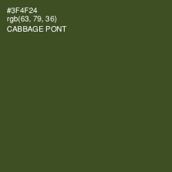 #3F4F24 - Cabbage Pont Color Image