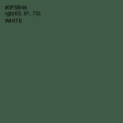 #3F5B46 - Mineral Green Color Image