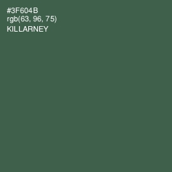 #3F604B - Killarney Color Image