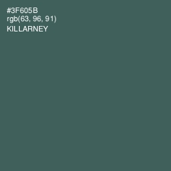#3F605B - Killarney Color Image