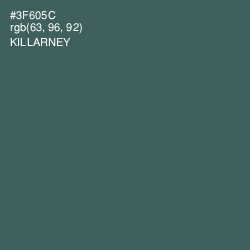 #3F605C - Killarney Color Image
