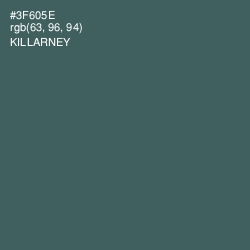 #3F605E - Killarney Color Image
