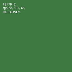 #3F7942 - Killarney Color Image