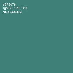 #3F8078 - Sea Green Color Image