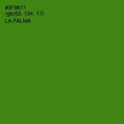 #3F8611 - La Palma Color Image
