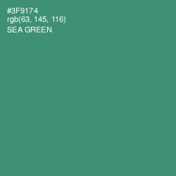 #3F9174 - Sea Green Color Image