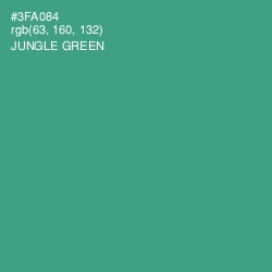 #3FA084 - Jungle Green Color Image