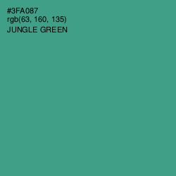 #3FA087 - Jungle Green Color Image