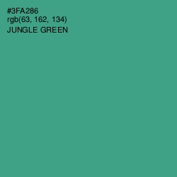 #3FA286 - Jungle Green Color Image
