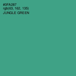 #3FA287 - Jungle Green Color Image