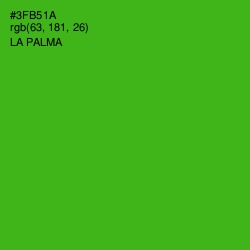 #3FB51A - La Palma Color Image