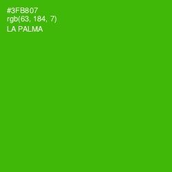 #3FB807 - La Palma Color Image