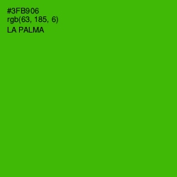 #3FB906 - La Palma Color Image
