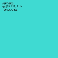 #3FDBD3 - Turquoise Color Image
