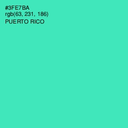 #3FE7BA - Puerto Rico Color Image