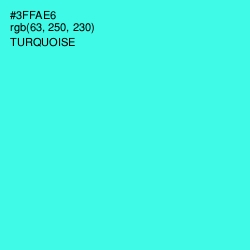 #3FFAE6 - Turquoise Color Image