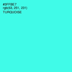 #3FFBE7 - Turquoise Color Image