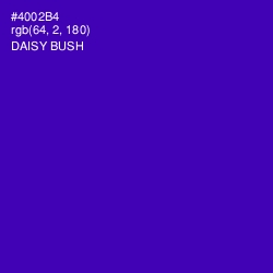 #4002B4 - Daisy Bush Color Image