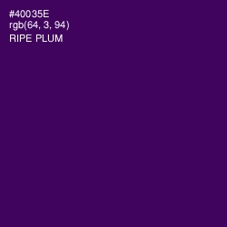 #40035E - Ripe Plum Color Image