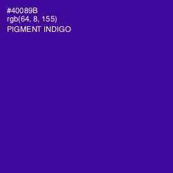 #40089B - Pigment Indigo Color Image
