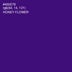 #400E79 - Honey Flower Color Image