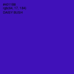 #4011B8 - Daisy Bush Color Image