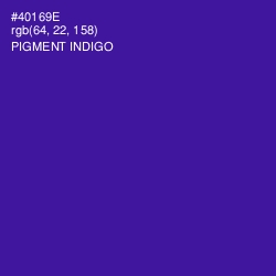 #40169E - Pigment Indigo Color Image