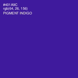 #401A9C - Pigment Indigo Color Image