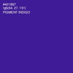 #401B97 - Pigment Indigo Color Image