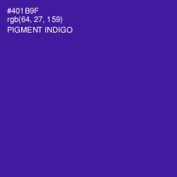 #401B9F - Pigment Indigo Color Image