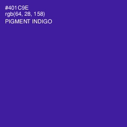 #401C9E - Pigment Indigo Color Image